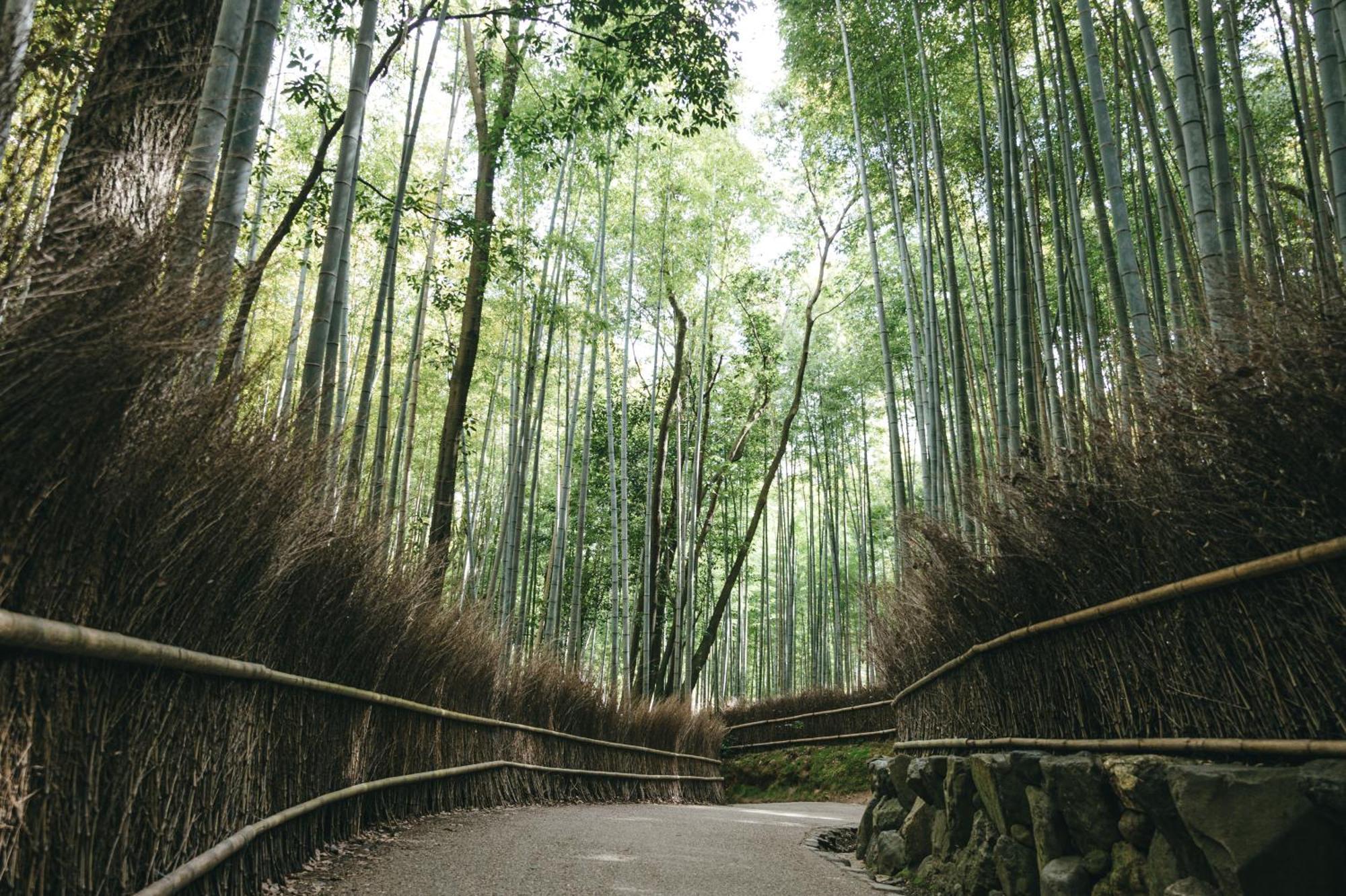 Tokyu Stay Kyoto Sakaiza Shijo Kawaramachi Ngoại thất bức ảnh